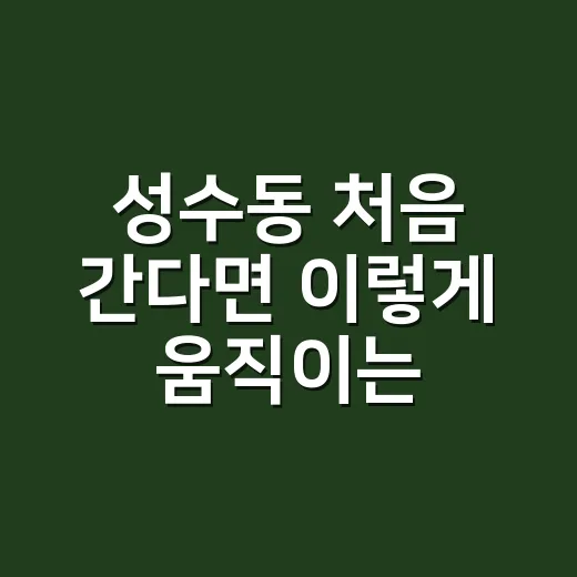 성수동 처음 간다면 이렇게 움직이는 방법 - 요약