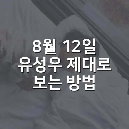 8월 12일 유성우 제대로 보는 방법, 시간과 장소 이렇게 잡으면 됩니다 - 요약