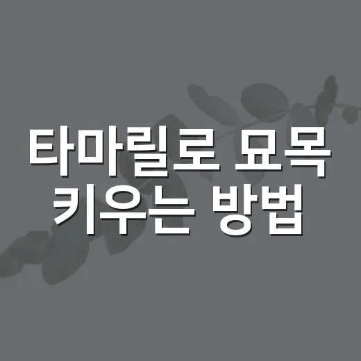 타마릴로 묘목 키우는 방법, 처음 들인 사람이 놓치기 쉬운 관리 포인트 - 요약