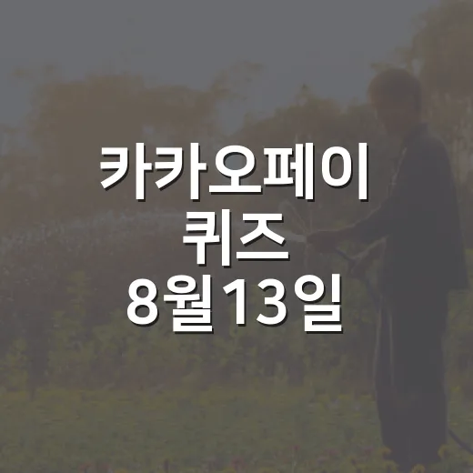 카카오페이 퀴즈 8월13일 빠르게 확인하고 포인트 챙기는 방법 - 요약