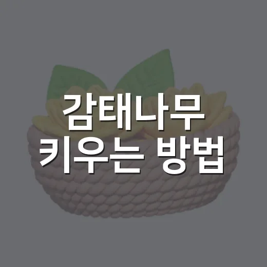감태나무 키우는 방법, 처음 보는 사람도 헷갈리지 않게 시작하기 - 요약