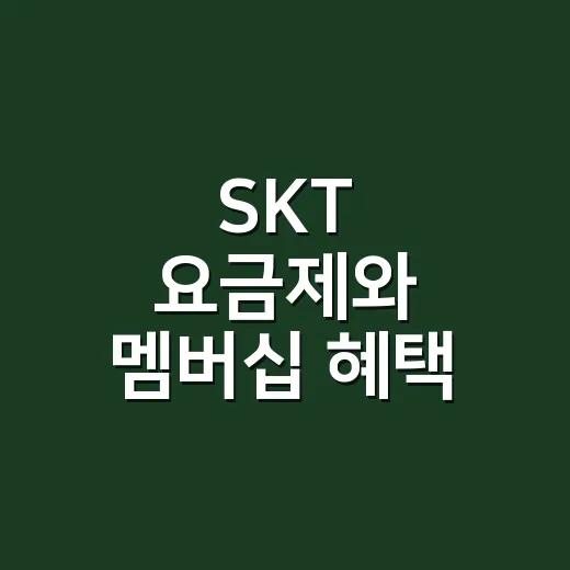 SKT 요금제와 멤버십 혜택 똑똑하게 챙기는 방법 - 요약