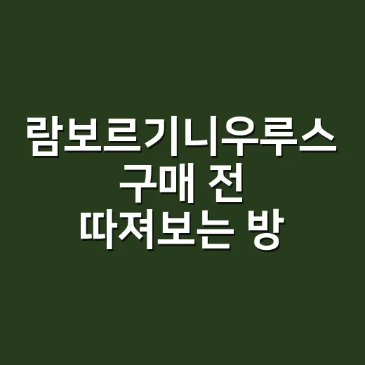 람보르기니우루스 구매 전 따져보는 방법, 가격보다 먼저 봐야 할 것들 - 요약