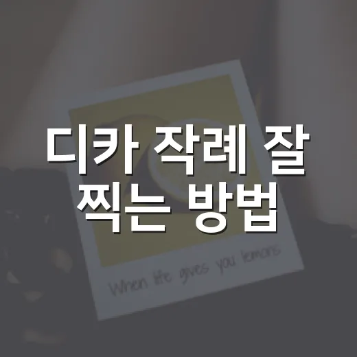 디카 작례 잘 찍는…