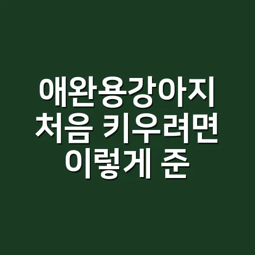 애완용강아지 처음 키우려면 이렇게 준비하세요 - 요약