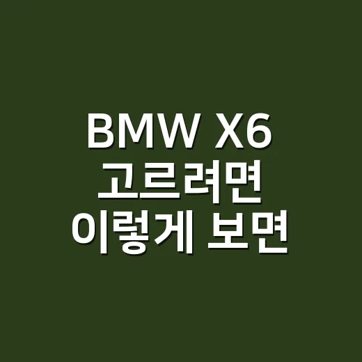 BMW X6 고르려면 이렇게 보면 실패 확률이 줄어듭니다 - 요약