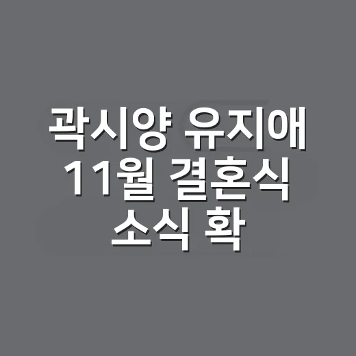 곽시양 유지애 11월 결혼식 소식 확인하는 방법 - 요약
