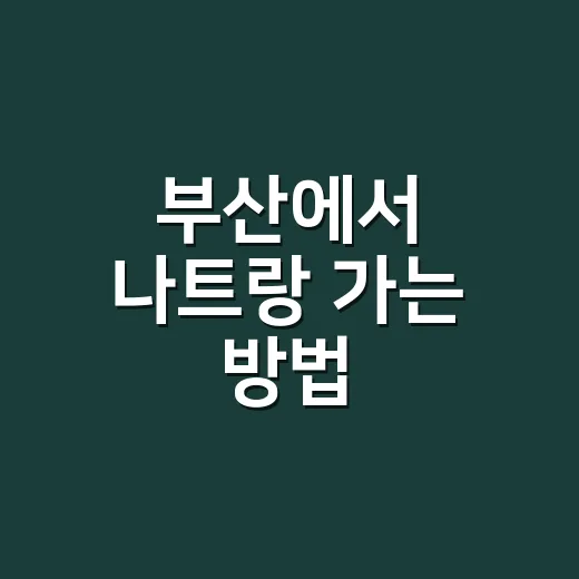 부산에서 나트랑 가는 방법, 항공권부터 입국 준비까지 이렇게 잡으면 편해요 - 요약