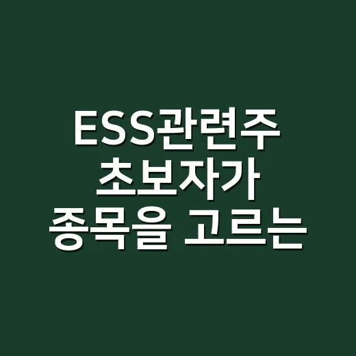ESS관련주 초보자가 종목을 고르는 방법 - 요약