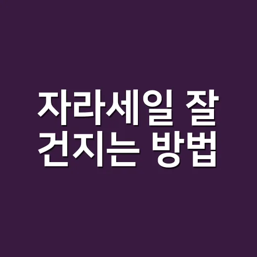 자라세일 잘 건지는 방법, 초보자도 실패 줄이려면 이렇게 - 요약