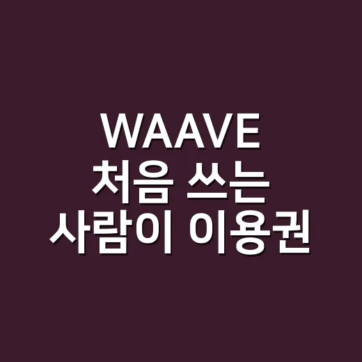 WAAVE 처음 쓰는 사람이 이용권 고르는 방법 - 요약