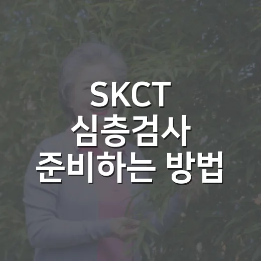 SKCT 심층검사 준비하는 방법, 솔직하게 풀되 흔들리지 않으려면 이렇게 - 요약