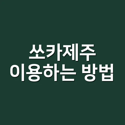 쏘카제주 이용하는 방법, 공항 도착부터 반납까지 헷갈리지 않게 - 요약