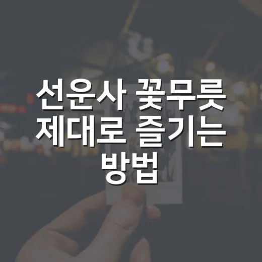 선운사 꽃무릇 제대로 즐기는 방법, 처음 가도 헤매지 않는 가을 산책 코스 - 요약