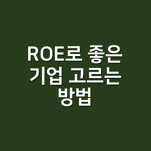 ROE로 좋은 기업 고르는 방법, 초보자는 이렇게 보면 편합니다 - 요약