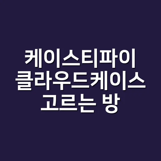 케이스티파이 클라우드케이스 고르는 방법, 예쁜데 실사용 괜찮을까 - 요약