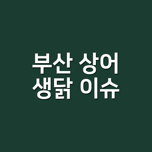 부산 상어 생닭 이슈, 북항 안전하게 확인하는 방법 - 요약