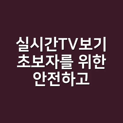 실시간TV보기 초보자를 위한 안전하고 편한 이용 방법 - 요약