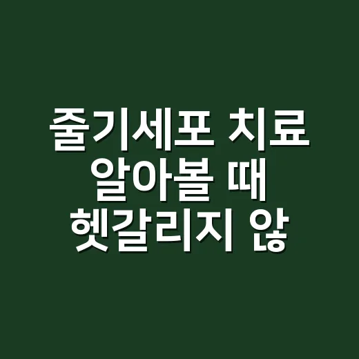 줄기세포 치료 알아볼 때 헷갈리지 않는 방법 - 요약