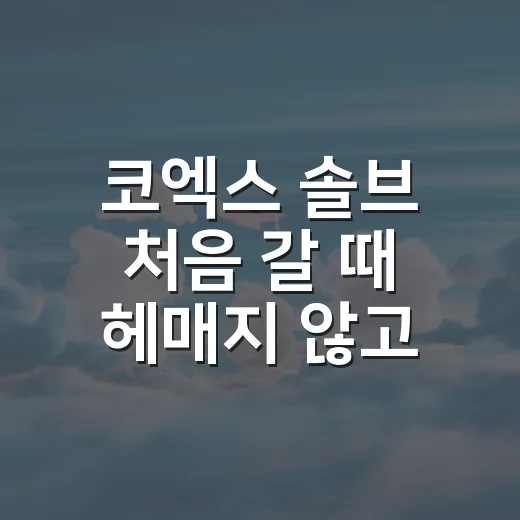 코엑스 솔브 처음 갈 때 헤매지 않고 쇼핑하는 방법 - 요약