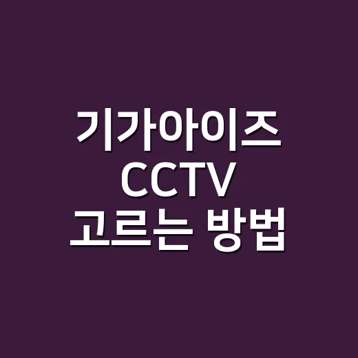 기가아이즈 CCTV 고르는 방법, 매장 상황별로 이렇게 보면 쉽습니다 - 요약