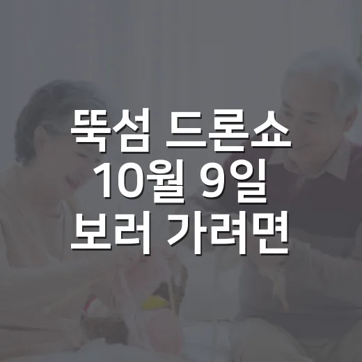 뚝섬 드론쇼 10월 9일 보러 가려면 이렇게 움직이면 편해요 - 요약