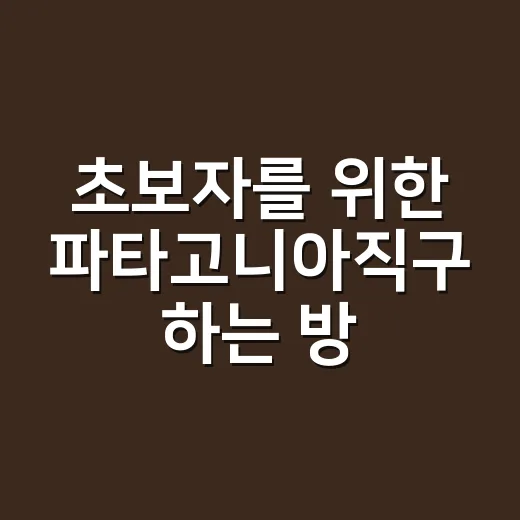 초보자를 위한 파타고니아직구 하는 방법, 사이즈부터 관부가세까지 - 요약