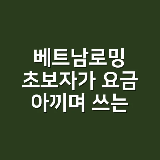 베트남로밍 초보자가 요금 아끼며 쓰는 방법 - 요약