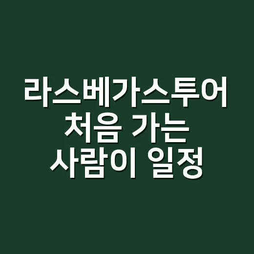 라스베가스투어 처음 가는 사람이 일정 짜는 방법 - 요약
