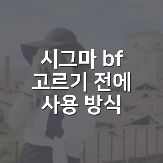 시그마 bf 고르기 전에 사용 방식 확인하는 방법 - 요약