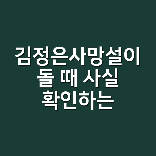 김정은사망설이 돌 때 사실 확인하는 방법 - 요약