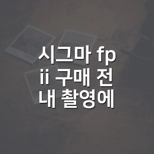 시그마 fp ii 구매 전 내 촬영에 맞는지 판단하는 방법 - 요약