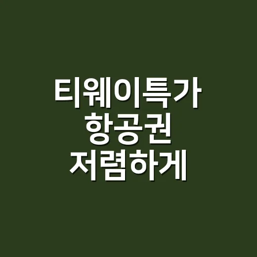 티웨이특가 항공권 저렴하게 예약하는 방법 - 요약