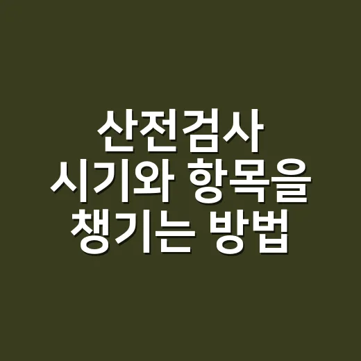 산전검사 시기와 항목을 챙기는 방법 - 요약