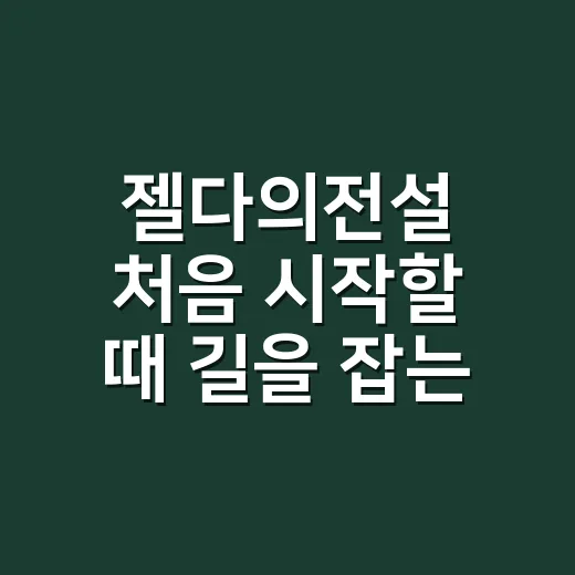 젤다의전설 처음 시작할 때 길을 잡는 방법 - 요약