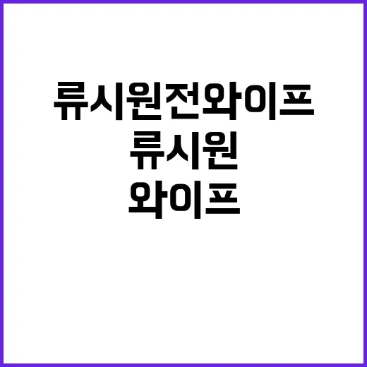 류시원 전 와이프의 삶과 그녀에 대해 알아보는 방법