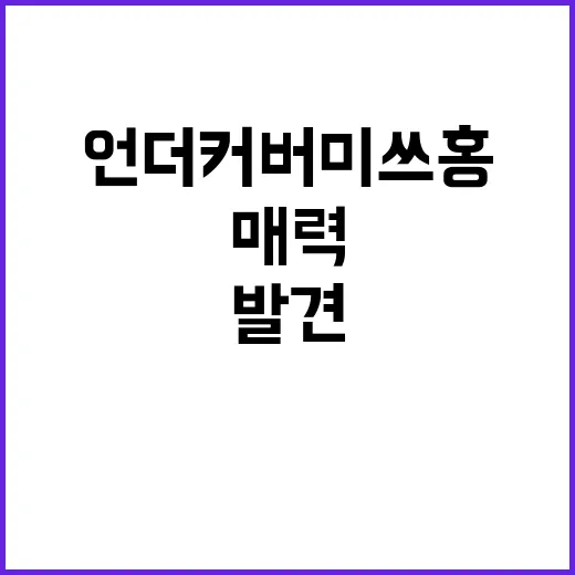 언더커버 미쓰홍의 …