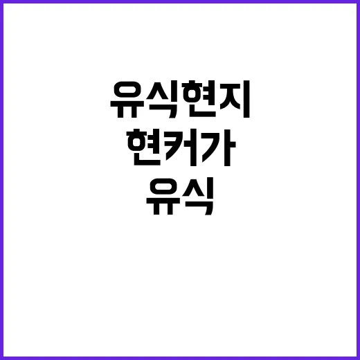 유식 현지 현커가 …