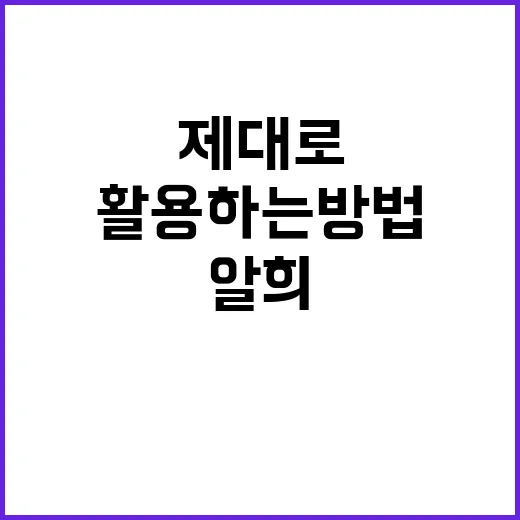 알희를 제대로 이해…