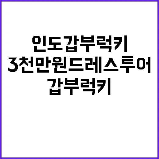 인도 갑부 럭키처럼…