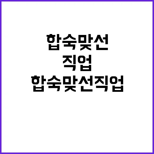 합숙맞선 직업 탐색…