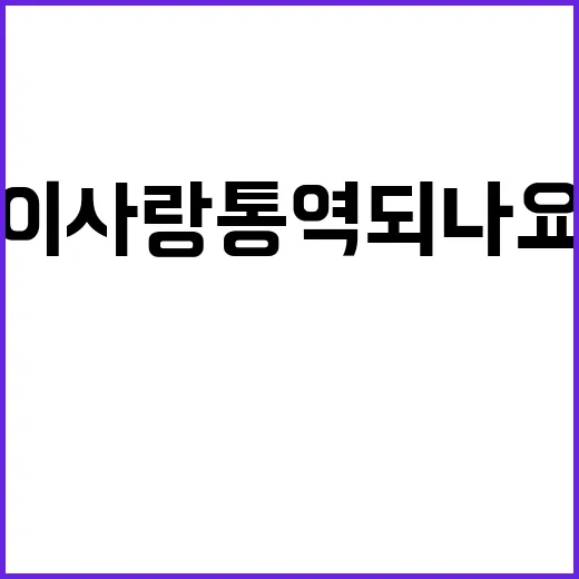 이사랑통역되나요 O…