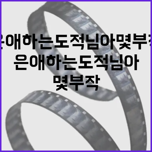 은애하는 도적님아 몇부작인지 알아보는 방법 - 요약