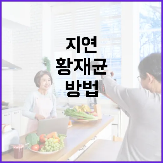 황재균과 지연의 러브 스토리를 알아보는 방법 - 요약