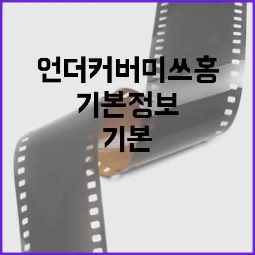 언더커버미쓰홍에 대한 모든 것: 기본 정보를 알아보세요 - 요약
