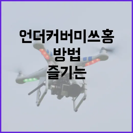 언더커버 미쓰홍을 이해하고 즐기는 방법 - 요약