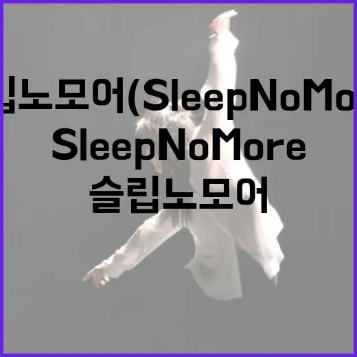 슬립노모어(Sleep No More)를 제대로 즐기는 방법 - 요약