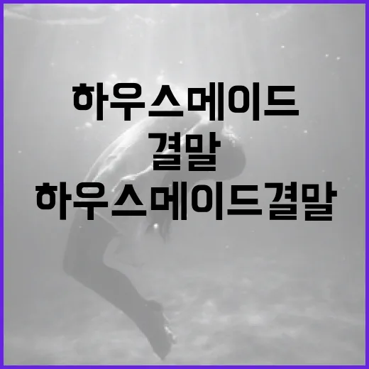 하우스메이드 결말을 이해하는 방법: 캐릭터와 주제를 중심으로 - 요약