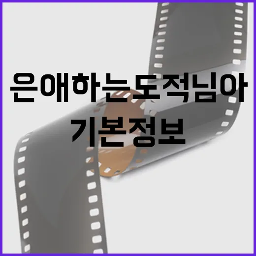 은애하는도적님아: 꼭 알아야 할 기본 정보 - 요약