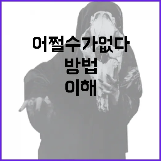 어쩔 수가 없다를 이해하고 활용하는 방법 - 요약